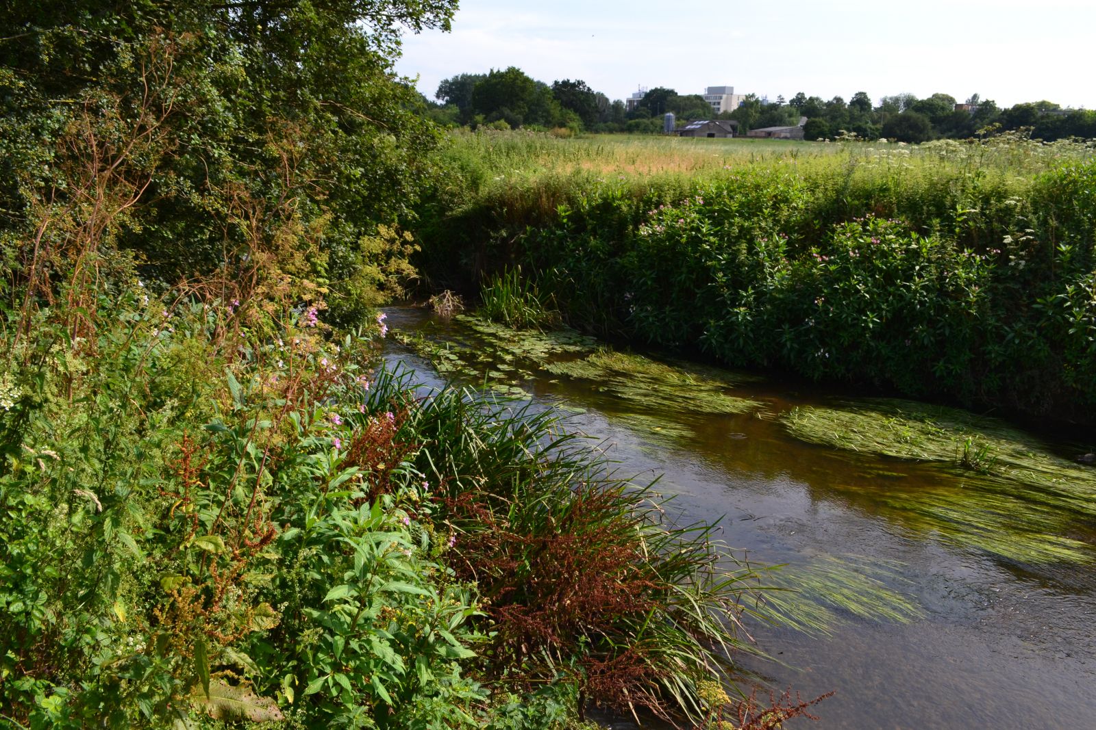 Photograph of the River Mole at Court Lodge Fields