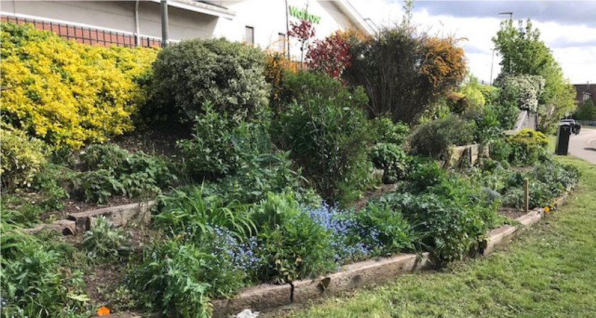 Photograph of the Q garden